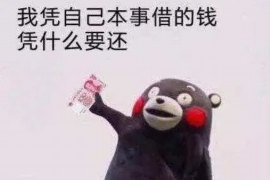 清涧债务清欠服务